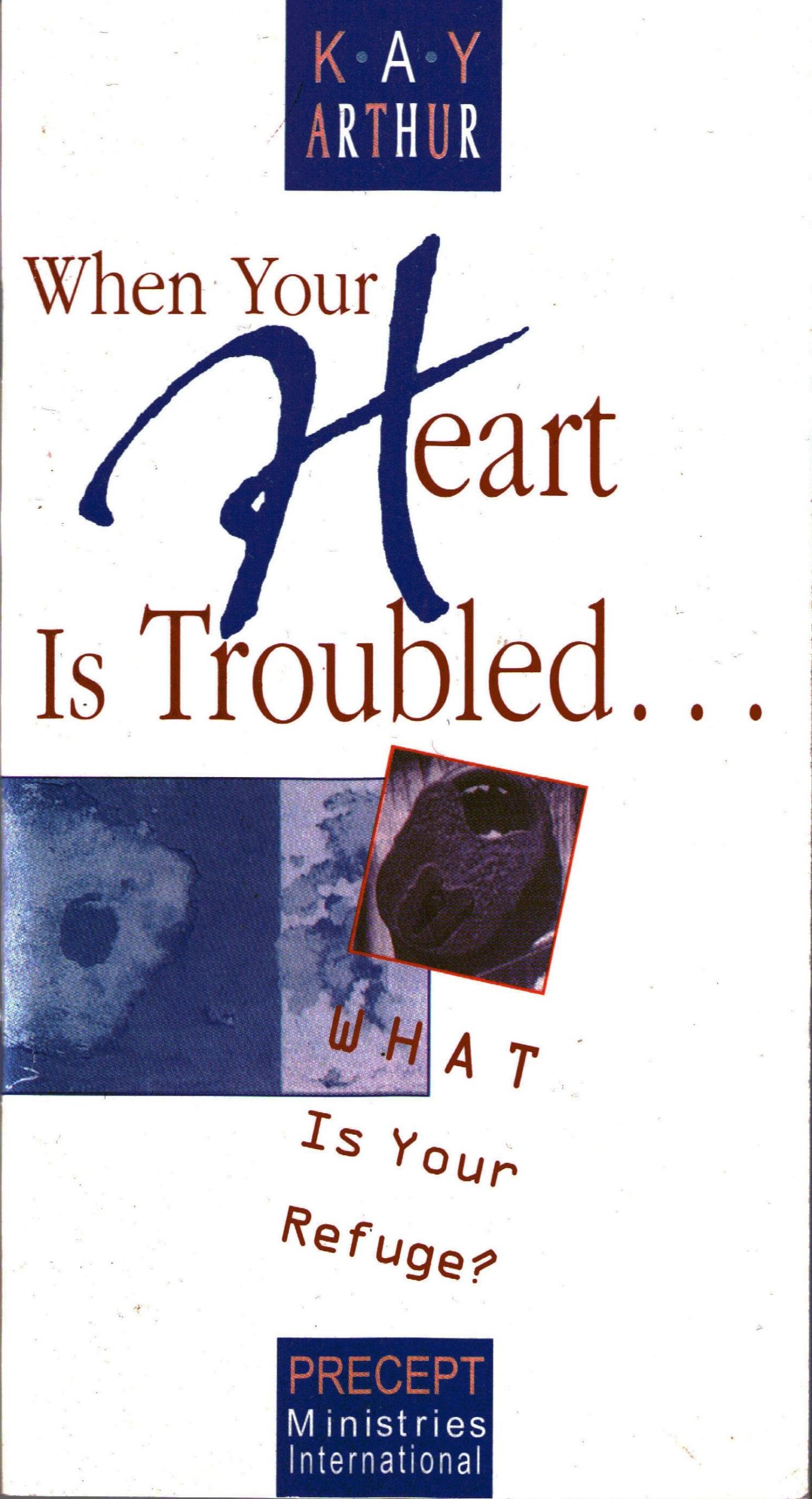 When Your Heart Is Troubled...What is Your Refuge?—Small Book