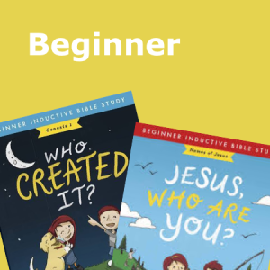 Beginner