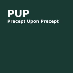 Precept Upon Precept (PUP)